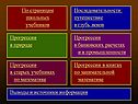Прогрессии в банковских расчетах и в промышленности