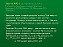 Бактерия