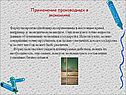 Применение производных в экономике