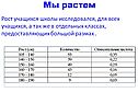Мы растем