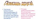 Вычислите стороны прямоугольника