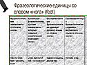 Фразеологические единицы со словом «нога» (feet)