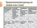 Фразеологические единицы со словом «нос» (nose)