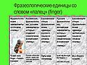 Фразеологические единицы со словом «палец» (finger)
