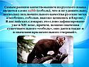 Соболь