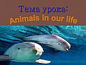 Animals in our life
