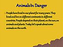 Animals In danger