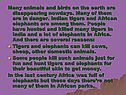 Many animals and birds on the earth