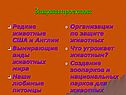 Редкие животные