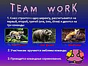 Три команды