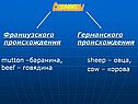 Синонимы