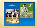 Kinds of sports