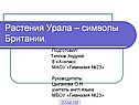Растения Урала – символы Британии