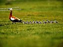 All kinds of people can make up a family