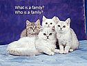 Who is a family