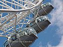 London Eye Capsules