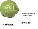 Cabbage