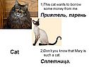 Сплетница