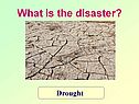 What is the disaster