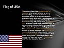 Flag of USA