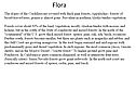Flora