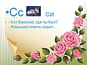 Kот Василий