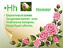 Hamster