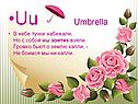 Umbrella