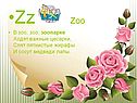 Zoo