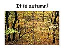 It is autumn
