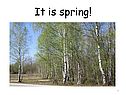 It is spring