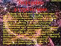 Значение астрономии