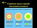 Строение звезд главной последовательности