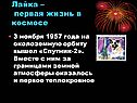Лайка – первая жизнь в космосе