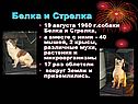 Белка и Стрелка