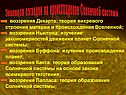 воззрения Декарта: теория вихревого строения материи и происхождения