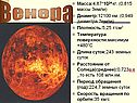Венера