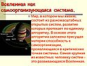 Вселенная как самоорганизующаяся система