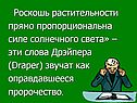 Роскошь растительности