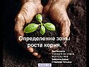 6 класс корень