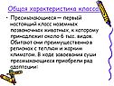Общая характеристика класса