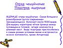 Отряд: чешуйчатые Подотряд: ящерицы