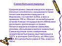 Самая большая ящерица Средняя длина самцов комодского варана (Varanus
