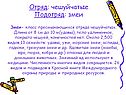 Отряд: чешуйчатые Подотряд: змеи