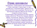Отряд: крокодилы