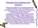 Интересные сведения про черепах