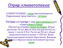 Отряд: клювоголовые