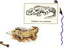 7 класс пресмыкающиеся