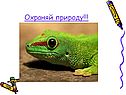 Охраняй природу