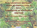 Роль комнатных растений в жизни человека